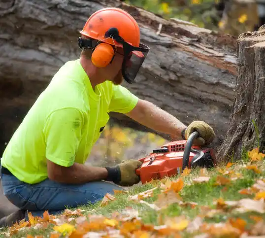 tree services Highland